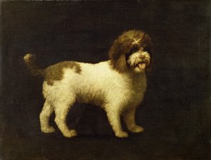 En vattenspaniel, 1769